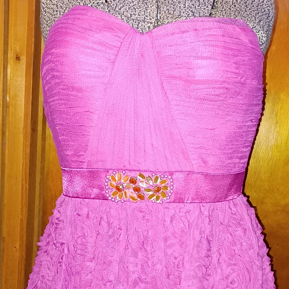 Adrianna Papell Fuschia Strapless Gown